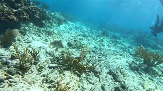 TikTok · Huntress Jen