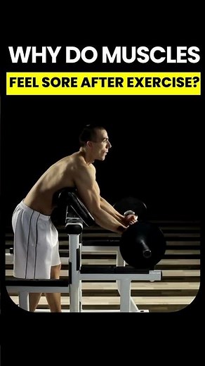 Why Do Muscles Get Sore After Exercise? | Science Explained