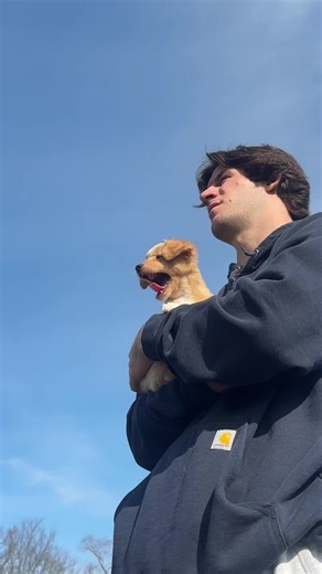 chlo (@chloe.bramble)’s videos with Banana Pancakes - Acoustic Heartstrings