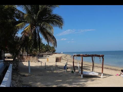 A day in Ifaty, Madagascar - Golden beaches, turquoise waters and dry ‘Spiny’ forests