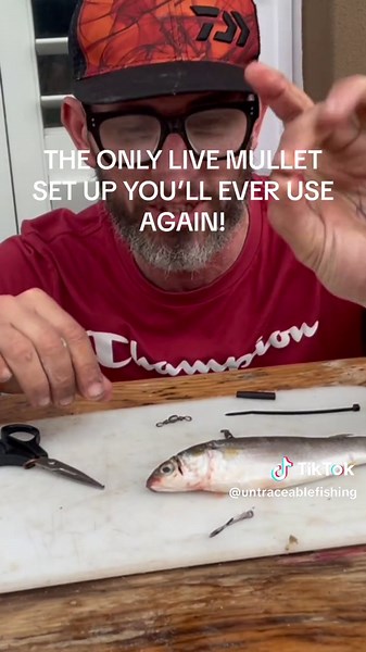 The only live mullet set up you’ll wver use again! #fishing #bait #mullet #fish #angling #untraceablefishing #assassinfishingrods #fishinglife #fishsa #angler