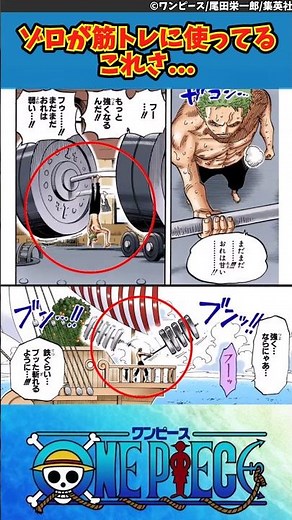 [One Piece] About that thing Zoro uses for his workouts... #OnePiece #ReactionCollection
