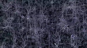 【科普】The Patch Clamp Method （youtube） 无字幕