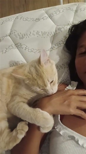 he never cuddle us but now his become a cuddly cat just for today#lovelycat