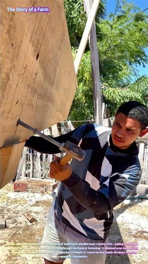Masterful Boat Assembly: Watch a Craftsman Secure a Wooden Hull with Through-Bolts and Raw Precision