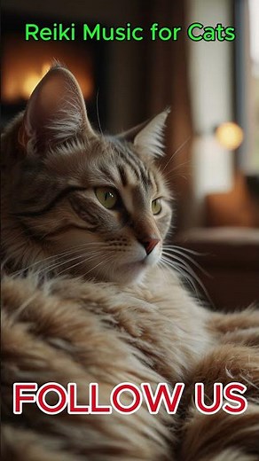 Reiki Healing Music for Cats #calmpaws #musikentd #shorts
