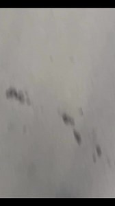 279K views · 2.7K reactions | Khanyar Srinagar Behind Gousia Hospital | WOMENS WORLD | Facebook