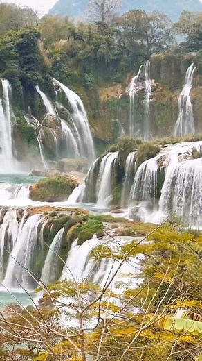 @sophoebelous travels to 📍Detian Waterfalls, a multi-tiered waterfall that straddles the international border of China and Vietnam. It is 60m tall and 200m wide, making it one of Asia’s most stunning waterfalls. #waterfall #travelvietnam #asiatravel #asia | Tripoto