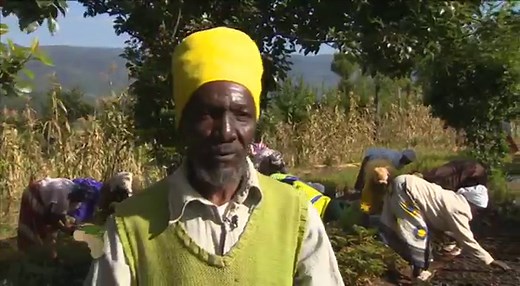 Tree Planting and Water Harvesting | The Green Belt Movement