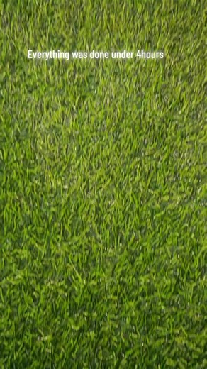 Quick Event Decoration Tips for Perfect Setup