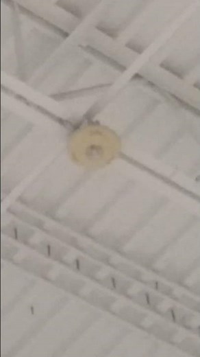 System Sensor Spectralert Classic Ceiling Mount Horn Strobe