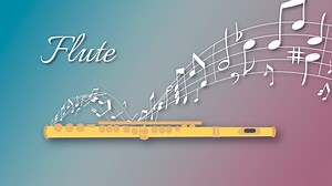 15K views · 740 reactions | Why Are Metal Flutes Called a Woodwind...