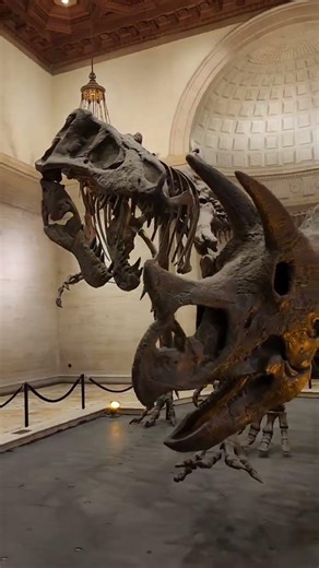 Natural History Museum Los Angeles #dinosaur #memes #funny #science