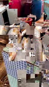 20K views · 384 reactions | Visit to the Bourda fish market! What’s your favourite Guyanese fish ? | Visit Guyana | Facebook