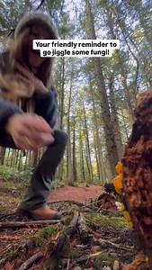 🍄 Who are you jiggling fungi with?! The are fungus among us, so get out there and explore them! #nature #fungi | The Nature Educator