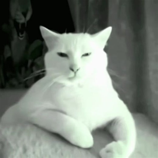 Exploring the Concept of Forbidden Love in Creatures