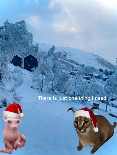 Christmas Floppa: The Ultimate Winter Meme