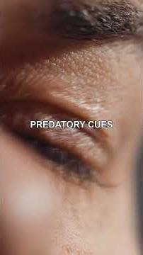 Your Body Detects Predators Before Your Brain