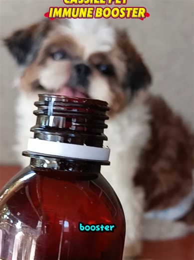 Cassiel Pet Immune Booster for Healthy Pets