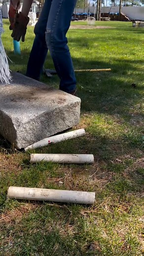 165_ | Alexander Lloyd