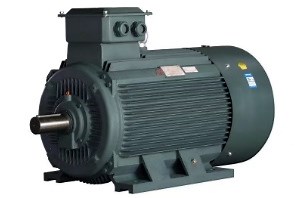 [Hot Item] 280kw Three Phase Asynchronous Induction Motor
