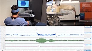 File:Non-Invasive-Brain-to-Brain-Interface-(BBI)-Establishing-Functional-Links-between-Two-Brains-pone.0060410.s001.ogv - Wikimedia Commons