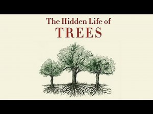 The Hidden Life of Trees Explained | How Trees Communicate, Feel & Support by Peter Wohlleben