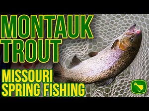 Lovely Trout at Montauk State Park in Missouri