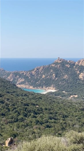 Le lion de roccapina #motivation #mindset #corse #corsica