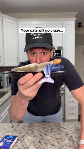 Flopping Fish Cat Toy: Endless Fun for Indoor Cats