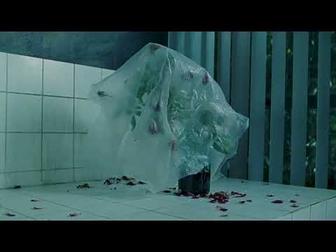 Matt Champion - Meetin' You