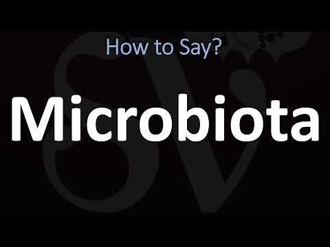 How to Pronounce Microbiota? (CORRECTLY)