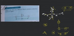 Illustration 1.37 What is the force on a dipole of dipole momen... | Filo