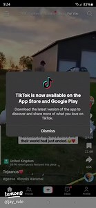 How to Easily Access Lemon8 on the Web and Boost Your Creator Journey