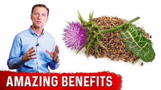 39K views · 1.3K reactions | Today we’re going to talk about the amazing benefits of milk thistle for the liver. Milk thistle is a very powerful herb that could potentially help your liver cells. | Dr. Eric Berg | Facebook