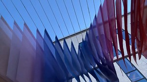 Halfway there, Huskies! Take a 30-second study break and relax with these campus clips. | Northeastern University