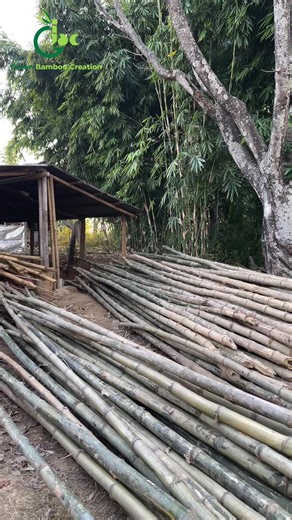 Crafting Bamboo Blinds: A Step-by-Step Guide