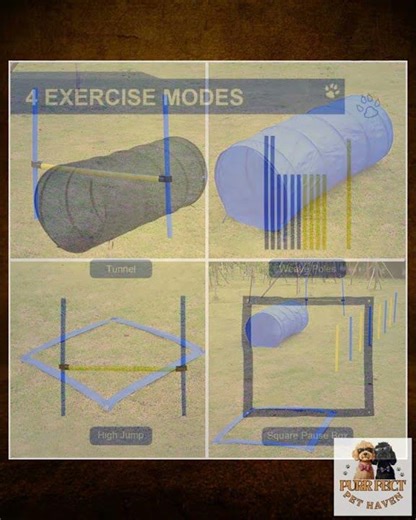 Dog Agility Equipment Set - Outdoor Obstacle Course Kit