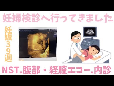 【妊婦検診】NST・腹部・経膣エコー動画 / 内診グリグリ / 妊娠39週 / 正産期 / 妊娠後期 臨月【産婦人科】