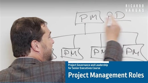 Project Leadership for Executives - 3.2 - Who is the Project Manager and Other Related Roles? | Ricardo Viana Vargas, Ph.D.
