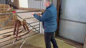 3K views · 103 reactions | Practice makes perfect. Rope catch and head collaring. | Mullacott Alpacas | Facebook