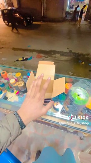 Kite Flying Festival Fun