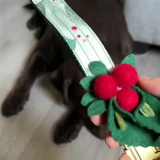 Winter Berry Holiday Dog Collar: Personalized Evergreen Laminated Cotton - Etsy