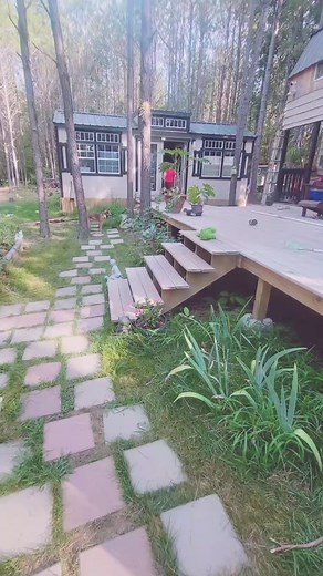 Shedstead Homestead Review: A Perfect 10/10 Experience