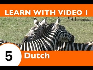 Learn Dutch with Video - How to Talk About Safari Animals in Dutch