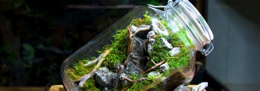 Making a Glass-Jar Moss Terrarium with a Waterfall Inside