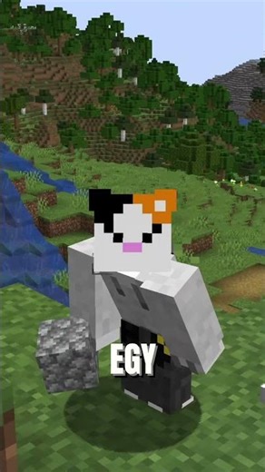 Ez egy különleges kutya! | #shorts #minecraft #magyar
