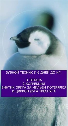 зубной техник за 6 дней до Нового Года #exocad #зубнойтехник