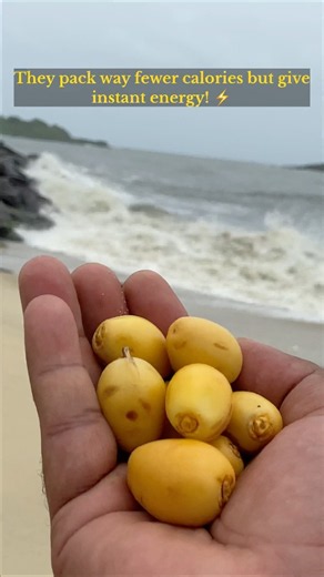 Why You Need to Try Fresh Yellow Dates! 🌴