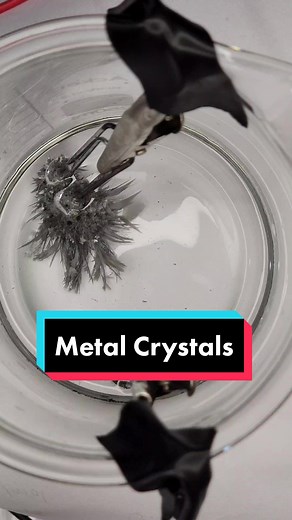 Growing Metal Crystals: A Chemistry Experiment